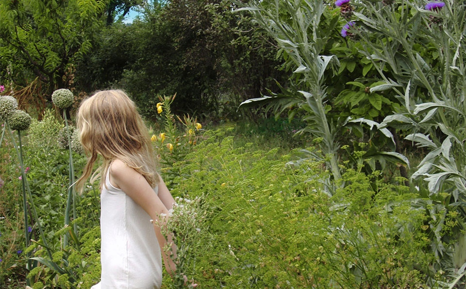 Noemi Kiss Garten Kultivierte Wildnis